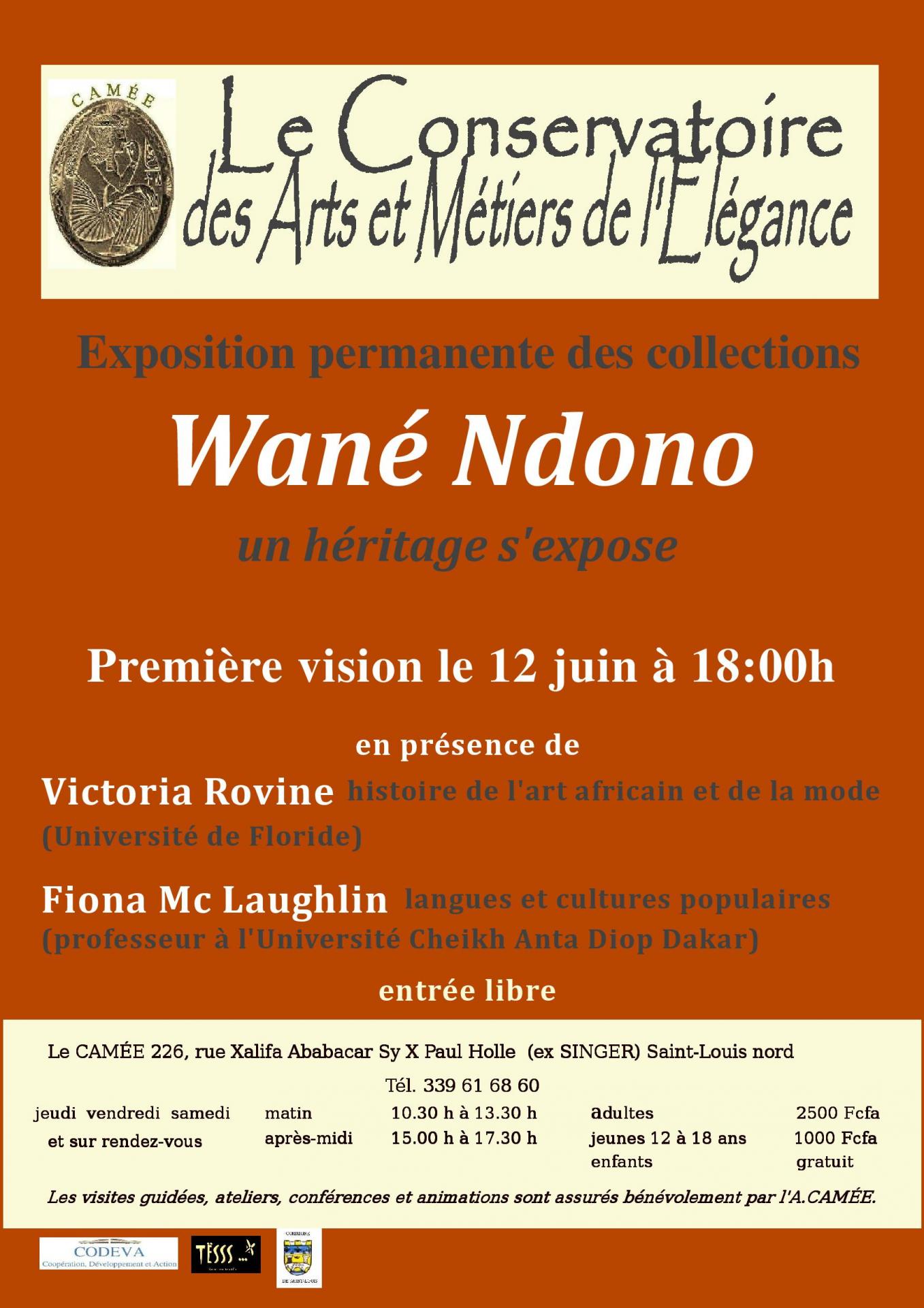 Wane ndono l affiche